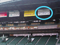 甲子園球場1塁側