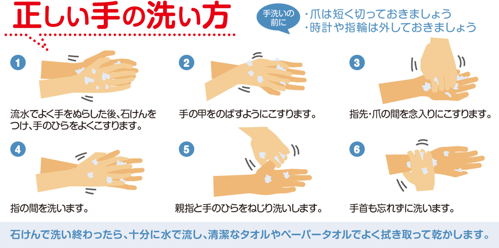 正しい手の洗い方