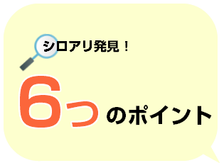 シロアリ対策６つのポイント